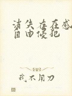 消失存在感消失自由侵犯