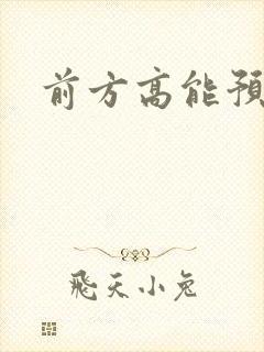 前方高能预警