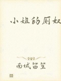小姐的厕奴