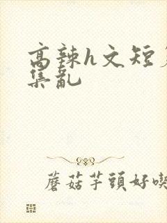 高辣h文短篇合集乱