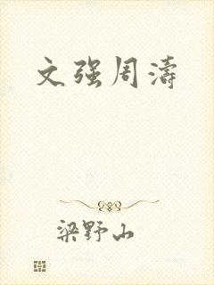 文强周涛封面