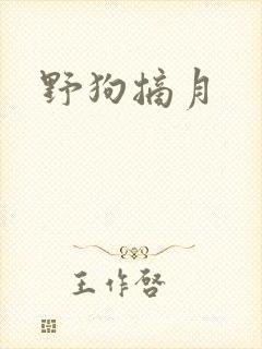 野狗摘月
