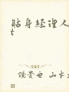 贴身经理人txt封面