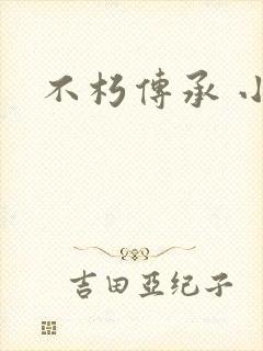 不朽传承 小说封面