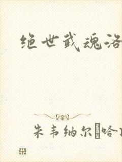 绝世武魂洛城东封面