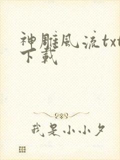 神雕风流txt下载