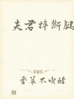 夫君摔断腿后封面