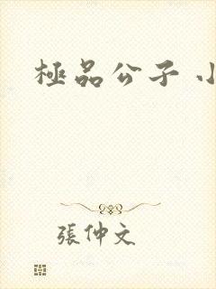 极品公子 小说