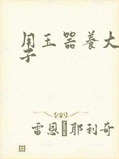 用玉器养大的皇子封面