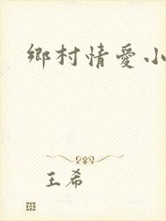 乡村情爱小说