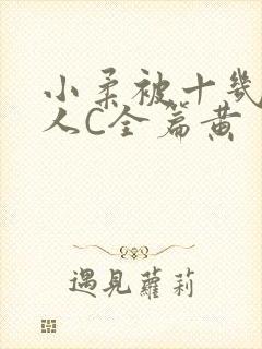 小柔被十几个男人C全篇黄封面