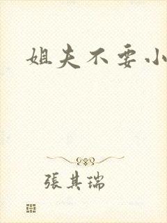 姐夫不要小说