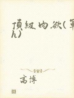 顶级肉欲(军高h)