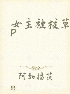 女主被校草们NP封面