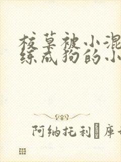 校草被小混混训练成狗的小说