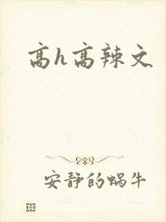 高h高辣文