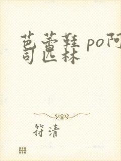 芭蕾鞋 po阿司匹林