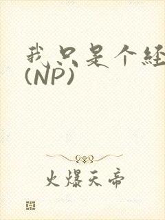 我只是个经纪人(NP)