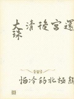 大清后宫还君明珠封面