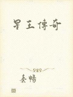 星王传奇封面