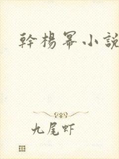 干杨幂小说