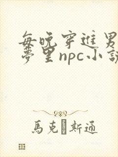 每晚穿进男神的梦里npc小说