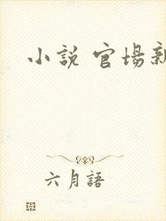 小说 官场新贵封面
