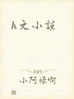 h文小说封面