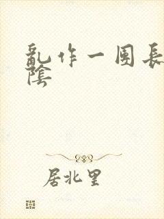 乱作一团长日光阴封面