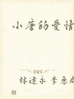 小唐的爱情史