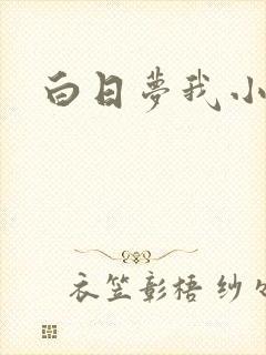 白日梦我小说