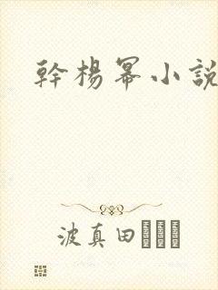 干杨幂小说