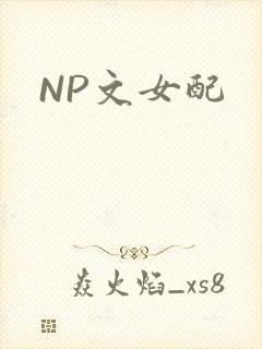 NP文女配