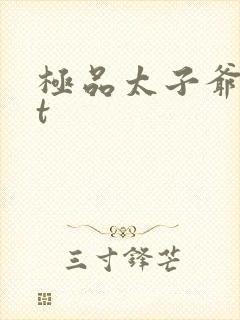 极品太子爷txt封面