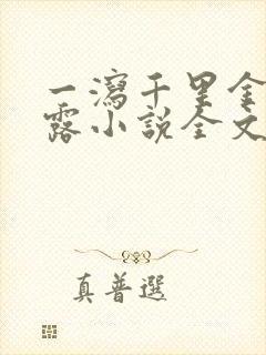 一泻千里金银花露小说全文免费阅读封面
