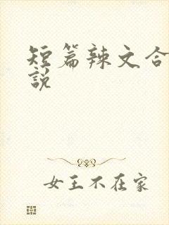 短篇辣文合集小说封面
