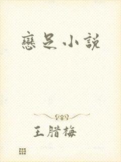 恋足小说