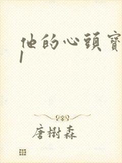 他的心头宝1v1封面