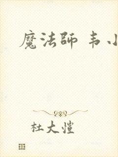 魔法师 韦小宝