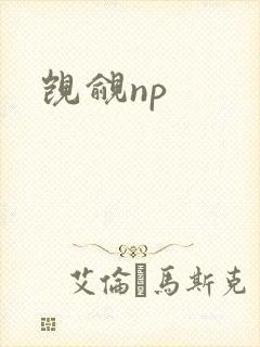 觊觎np