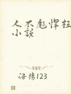 人不彪悍枉少年小说