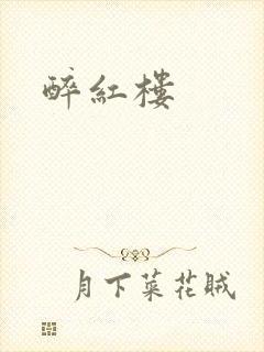 醉红楼