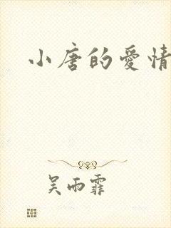 小唐的爱情史