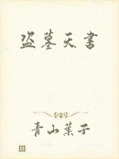 盗墓天书