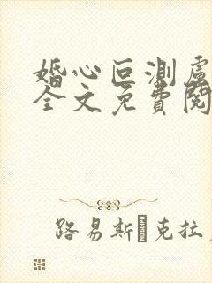 婚心叵测卢丹妮全文免费阅读小说封面