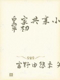 皇家共享小公主宁初封面