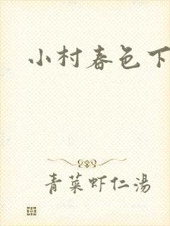 小村春色下载