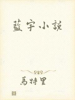 蓝宇小说