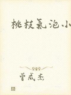 桃枝气泡小说