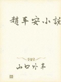 赵平安小说主角